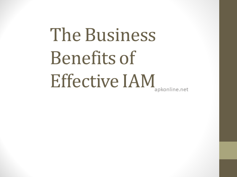 Business Benefits of Effective IAM