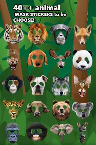 Play Animal Face Photo 