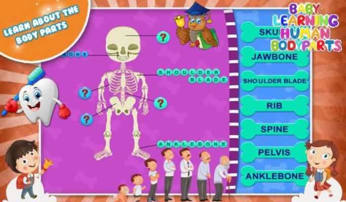 Play Baby Learning Human Body Parts 