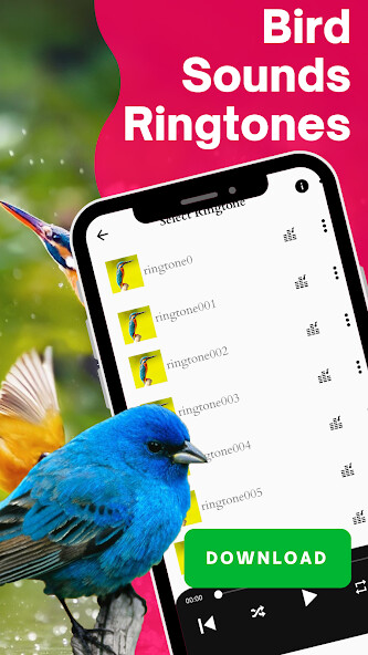 Play APK Bird Sounds Ringtones  and enjoy Bird Sounds Ringtones with UptoPlay com.zdn35.music.songs.birds.calls.sounds.animals