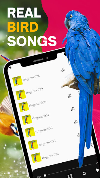 Play APK Bird Sounds Ringtones  and enjoy Bird Sounds Ringtones with UptoPlay com.zdn35.music.songs.birds.calls.sounds.animals