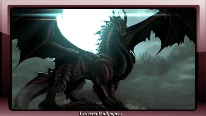 Play Black Dragon Wallpaper 