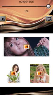 Play Cactus Photo Collage 