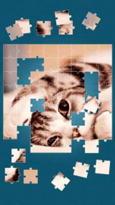 Play Cute Cats Jigsaw Puzzle 