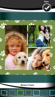 Play Dog Photo Collage 