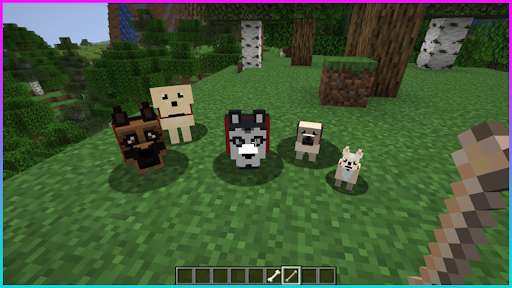 Play Dogs Mod for MCPE 