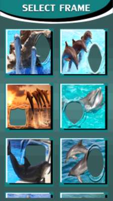 Play Dolphins Photo Frames 