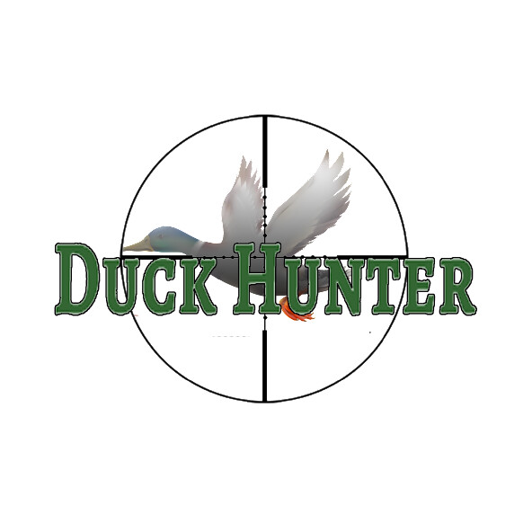 Play Duck Hunter 