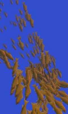 Play Fish swarm Live Wallpaper FREE 