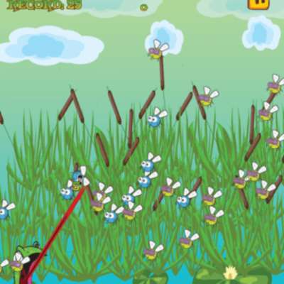 Play Froggy Fly Hunter 