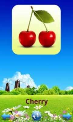 Play Fruit Book for Kids 