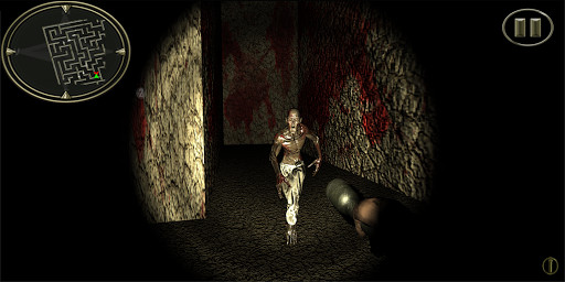 Play Horror maze 