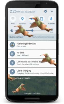 Play Hummingbird fly in phone prank 