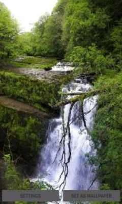 Play Jugle Waterfall Live Wallpaper 