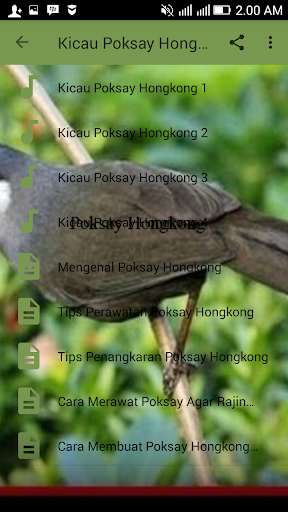 Play APK Kicau Poksay Hongkong Terbaru  and enjoy Kicau Poksay Hongkong Terbaru with UptoPlay com.tidut.kicau.poksay.hongkong