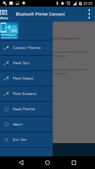 Play Printer Bluetooth Connect 