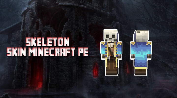 Play Skeleton Skins for Minecraft PE 