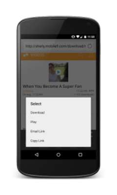 Play SuperFast Video Web Downloader 