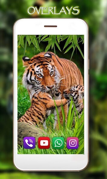 Play Tiger Live Wallpaper 