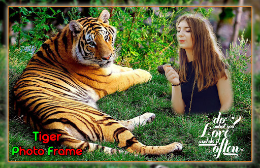 Play Tiger Photo Frames 