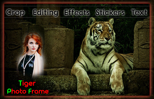 Play Tiger Photo Frames 