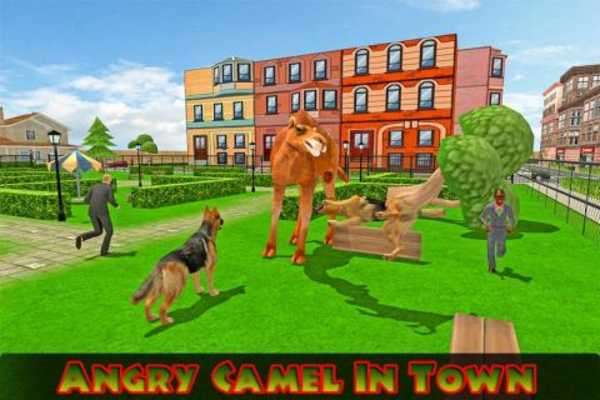 Play Angry Camel Rampage 