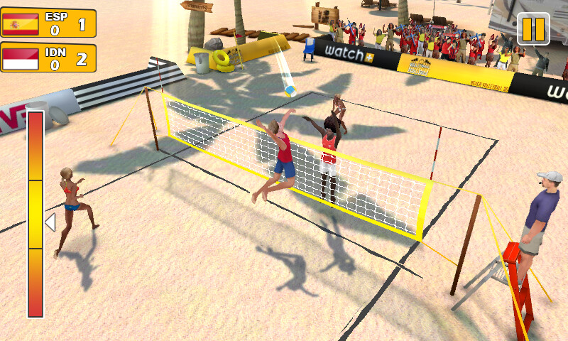 Play Beach Volleyball 3D 