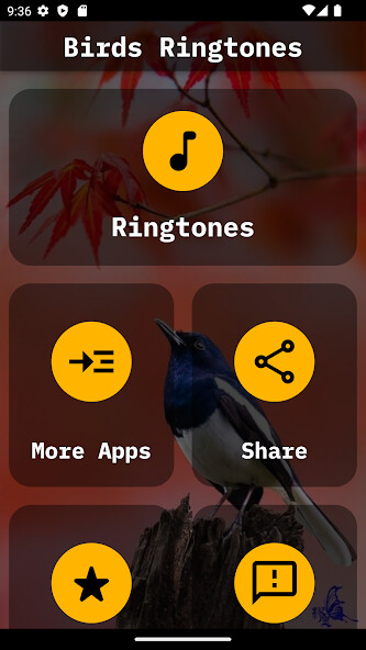 Play Bird Ringtones 