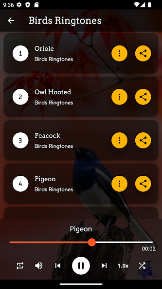 Play Bird Ringtones 