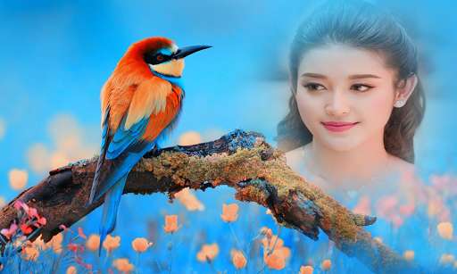 Play APK Birds Photo Frame New  and enjoy Birds Photo Frame New with UptoPlay com.om.birdsphotoframenew