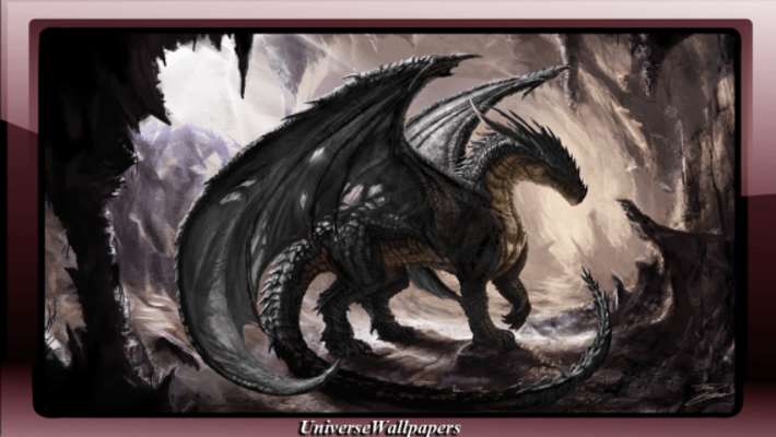 Play Black Dragon Wallpaper 