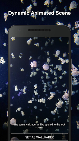 Play Jellyfishes 3D live wallpaper 