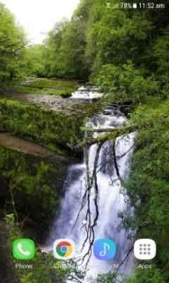 Play Jugle Waterfall Live Wallpaper 