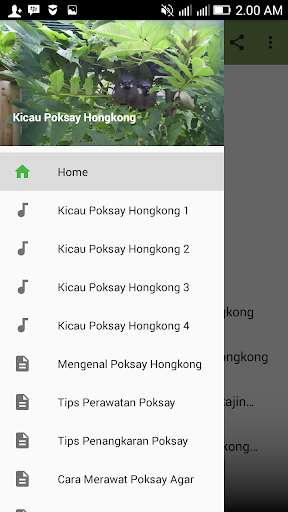 Play APK Kicau Poksay Hongkong Terbaru  and enjoy Kicau Poksay Hongkong Terbaru with UptoPlay com.tidut.kicau.poksay.hongkong