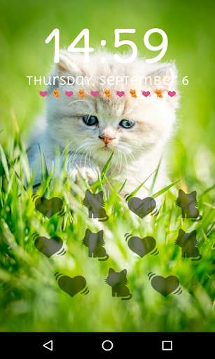 Play kitten Lock Screen Pattern Passcode Cute wallpaper 