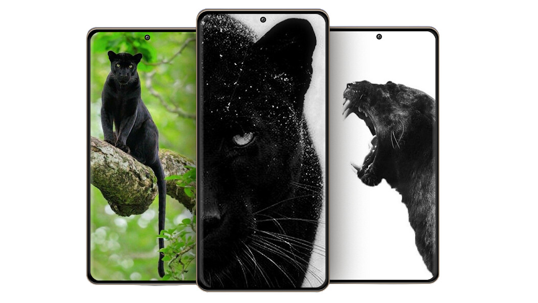 Play APK Panther Wallpapers  and enjoy Panther Wallpapers with UptoPlay com.Infinity.panther