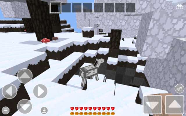 Play Play Craft : Block Survival 