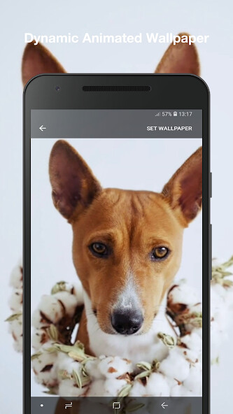 Play APK Puppy Live Wallpaper  and enjoy Puppy Live Wallpaper with UptoPlay com.PuppyLiveWallpapernn