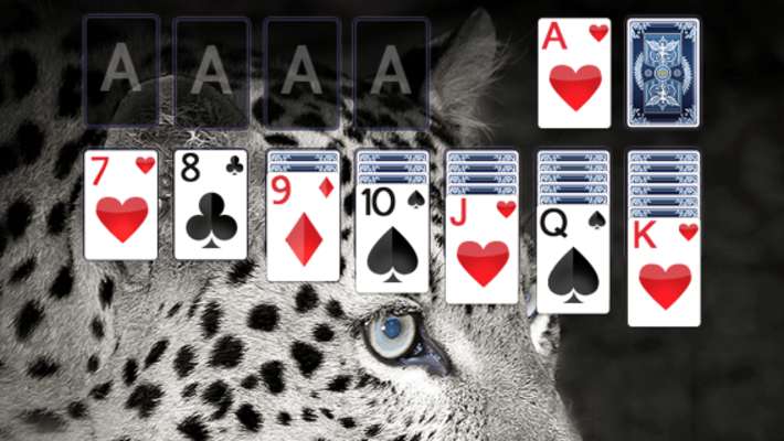 Play Solitaire Leopard Theme 