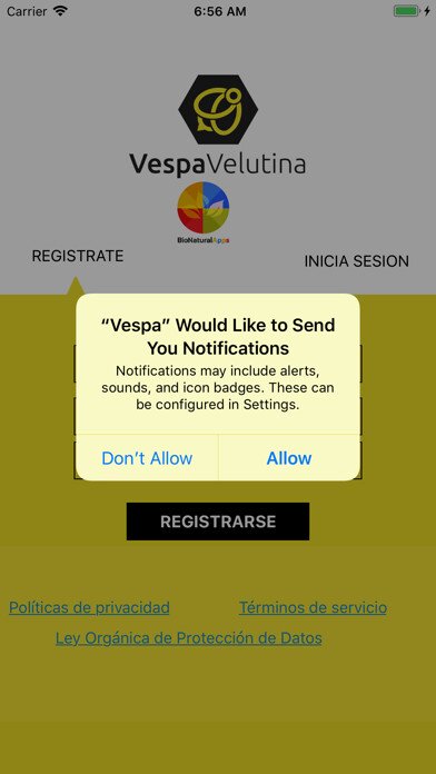 Play APK Vespa Velutina  and enjoy Vespa Velutina with UptoPlay 