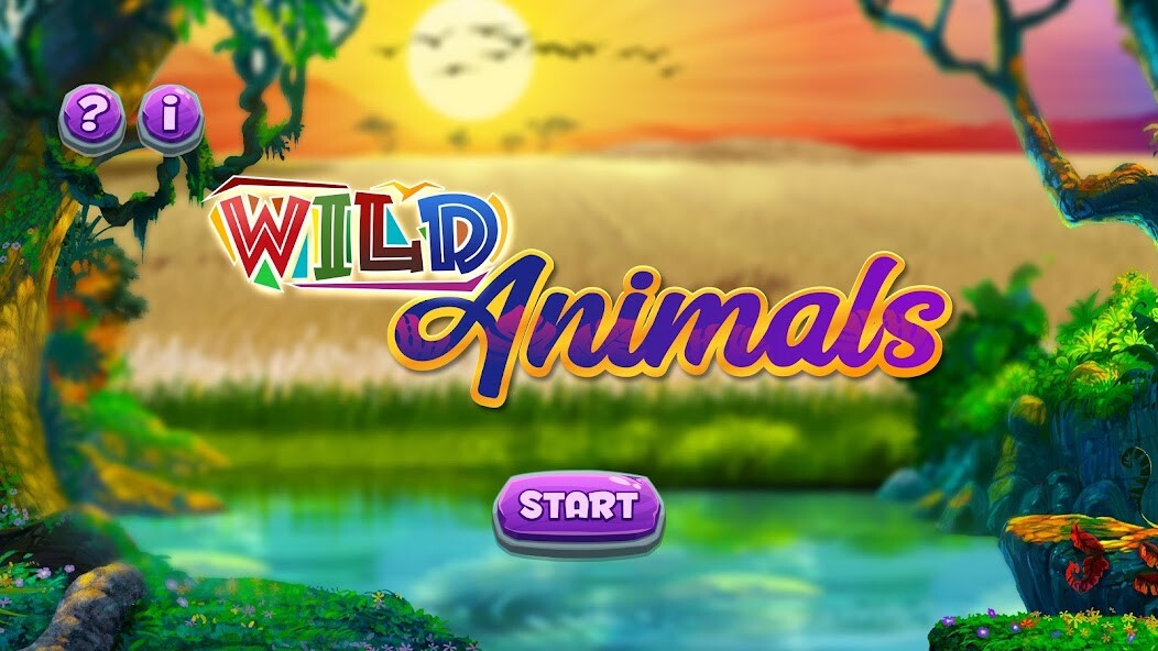 Play Wild Animals 