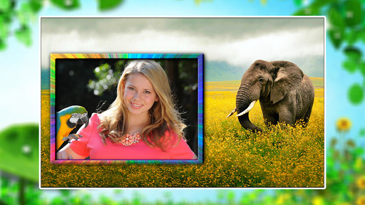 Play Wildlife Photo Frames 