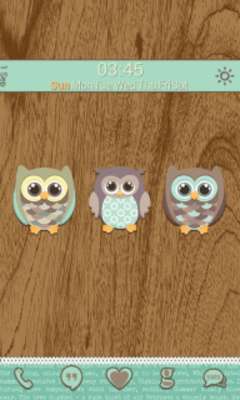 Play Zooper Widgets: Hoot 