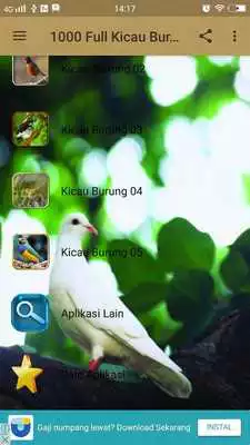 Play 1000 Full Kicau Burung Lengkap