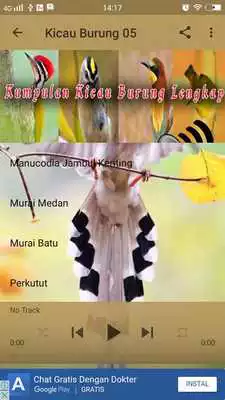 Play 1000 Full Kicau Burung Lengkap