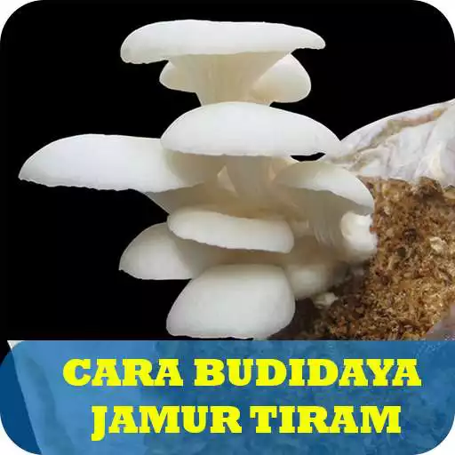 Free play online 10 Cara Budidaya Jamur Tiram APK