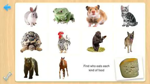 Play 2nd Preschool Prep Flashcards