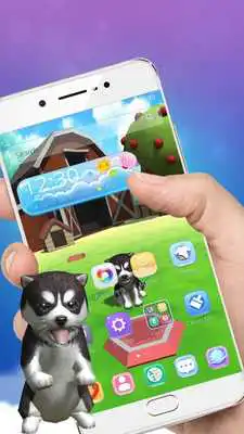 Play 3D Cute Husky Live Wallpaper theme