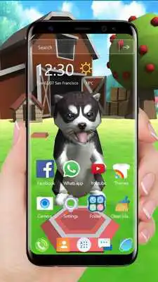 Play 3D Cute Husky Live Wallpaper theme