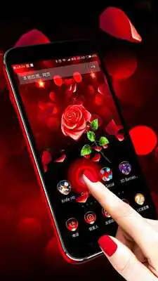 Play 3D Rose Theme